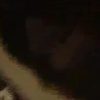 Thumbnail of new posts 141